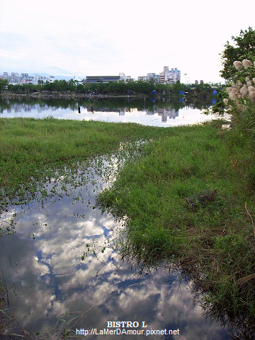 羅東林業文化園區 畜木池 羅東林業文化園區 畜木池