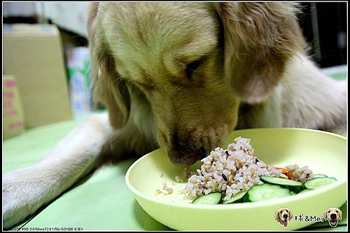 妹妹吃飯飯