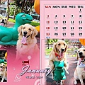 球妹2009桌曆