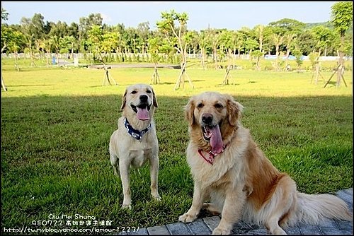 球球&妹妹