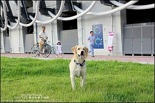 球球in世運主場館