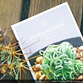 UNDERGROUNDS -CAPE BULB BOOK