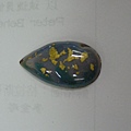 DSCN4462.jpg