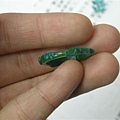 DSCN5716.jpg