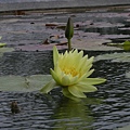 DSCN5791.jpg