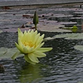 DSCN5792.jpg