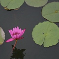 DSCN5793.jpg