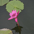 DSCN5794.jpg