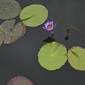 DSCN5795.jpg