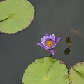 DSCN5796.jpg