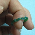 DSCN5730.jpg