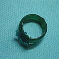 DSCN5720.jpg