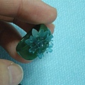 DSCN5722.jpg