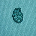 DSCN5725.jpg