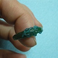 DSCN5729.jpg