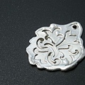 DSCN5821.jpg
