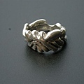DSCN5827.jpg