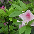 DSCN5848.jpg