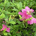 DSCN5850.jpg