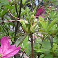 DSCN5855.jpg