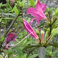 DSCN5845.jpg