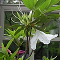 DSCN5847.jpg