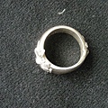 DSCN5848.jpg