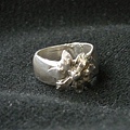 DSCN5850.jpg