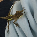 DSCN6053.jpg