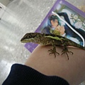 DSCN6061.jpg