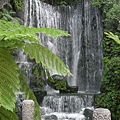 DSCN7237.jpg