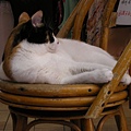 DSCN7300.jpg