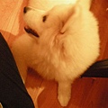 DSCN8015.jpg