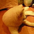 DSCN8018.jpg