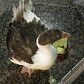 DSCN8025.jpg