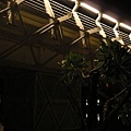 DSCN8036.jpg