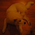 DSCN8050.jpg