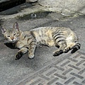 DSCN8071.jpg