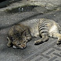 DSCN8072.jpg