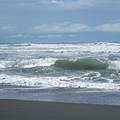 DSCN8081.jpg