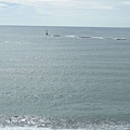DSCN8094.jpg