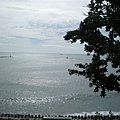 DSCN8100.jpg