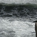 DSCN8102.jpg