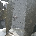 DSCN8104.jpg