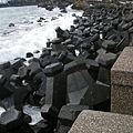 DSCN8105.jpg