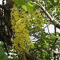 DSCN7710.JPG