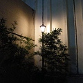 DSCN9662.jpg