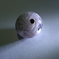 DSCN9955.jpg