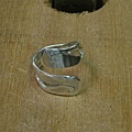 DSCN9473.jpg