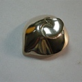 DSCN9879.jpg